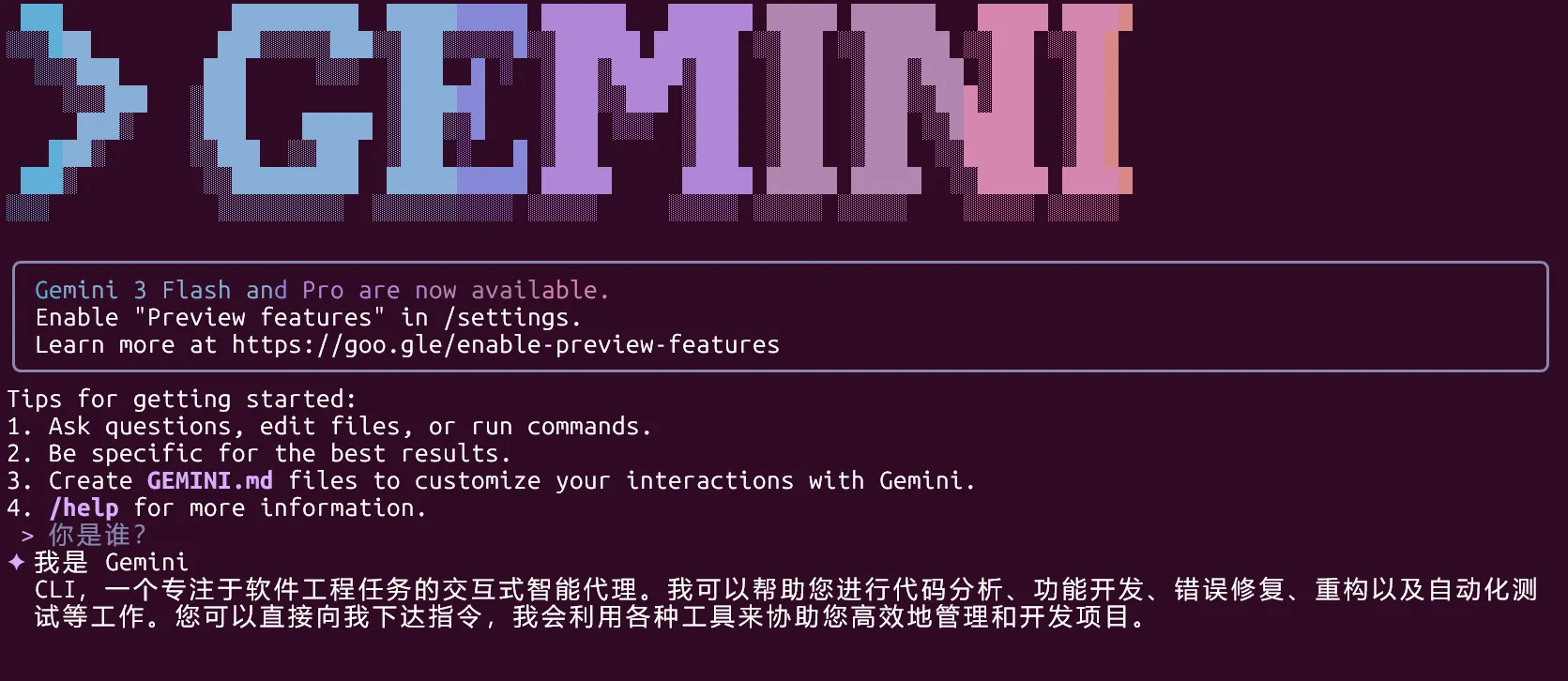 Gemini Example